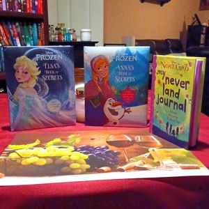 Disney Frozen & Never Girls Journals